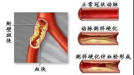 微信圖片_20180808135439.jpg