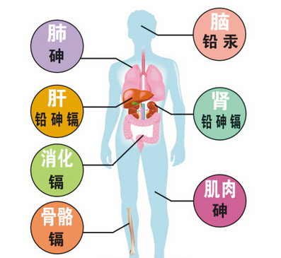 水中的重金屬對人身體的傷害